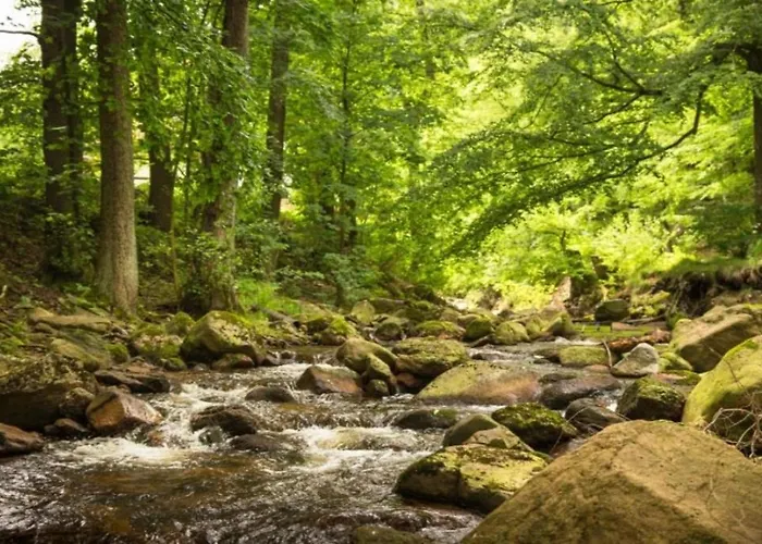 Сasa de vacaciones Nexoe, 45 Qm, 1 Schlafzimmer N6